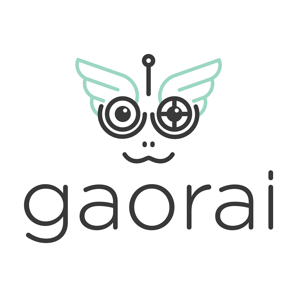 Gaorai Business Solution